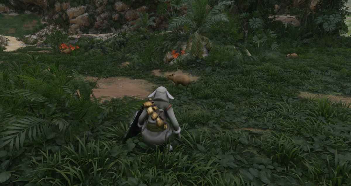 How to Tame Capybara